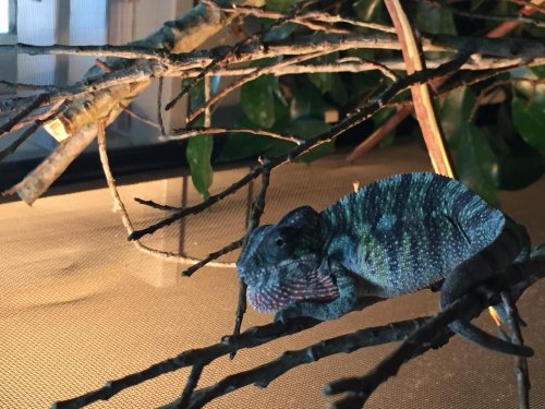 2015-02-15 105836-1900845.jpg