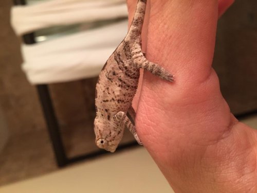 2015-02-20 181905-1674557.jpg