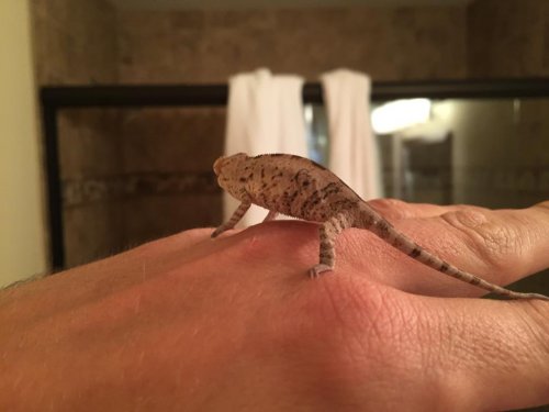 2015-02-20 181911-1614172.jpg