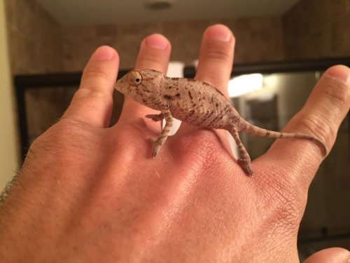 2015-02-20 181917-1736249.jpg