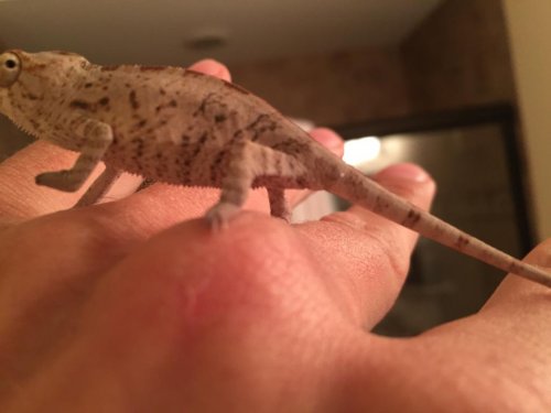 2015-02-20 181923-1506160.jpg