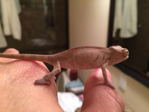 2015-02-20 182012-1504206.jpg