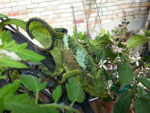 20150221_101942.jpg
