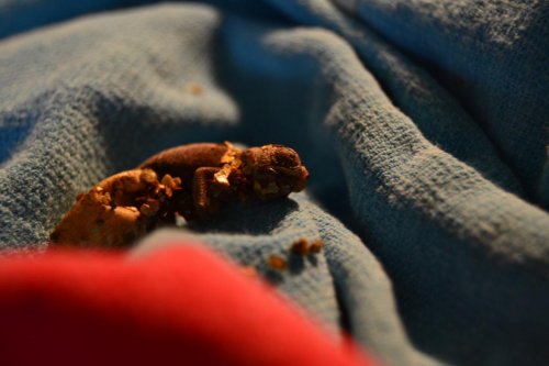 2015-02-22 02.44.08.jpg