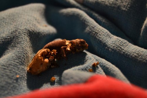 2015-02-22 02.43.10.jpg