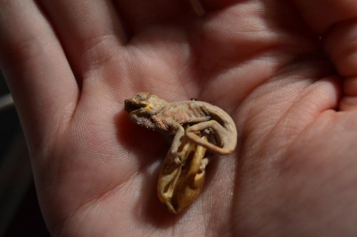 2015-02-22 10.26.43-1.jpg