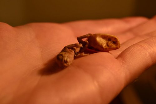 2015-02-22 10.15.00.jpg