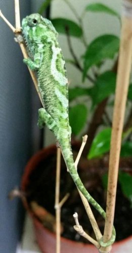 20150222_141625-1.jpg