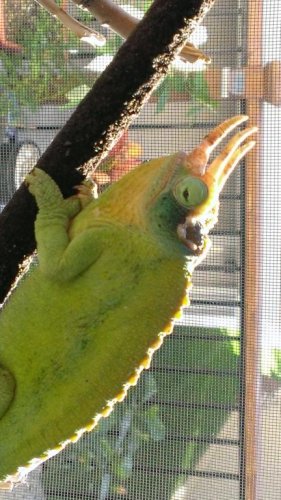 WP_20141016_005.jpg