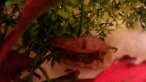 20150225_193406 (1).jpg