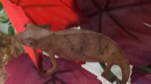 20150303_152501.jpg