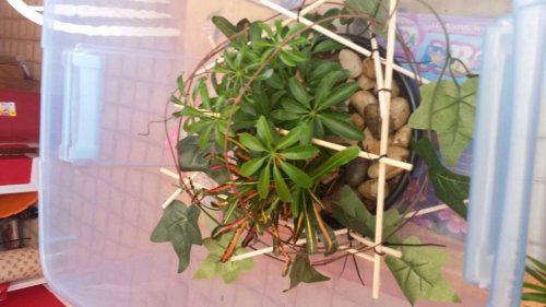 20150305_122452.jpg