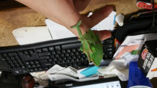 20150306_210709[1].jpg