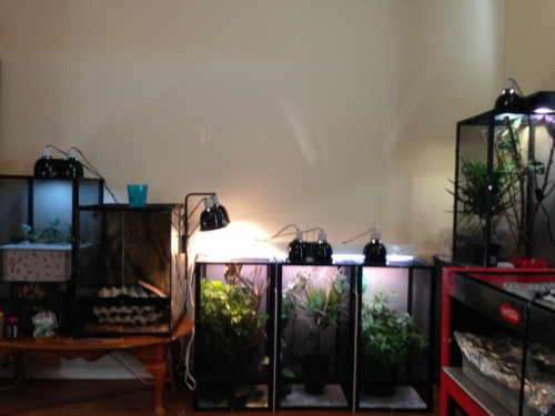 The setup.png