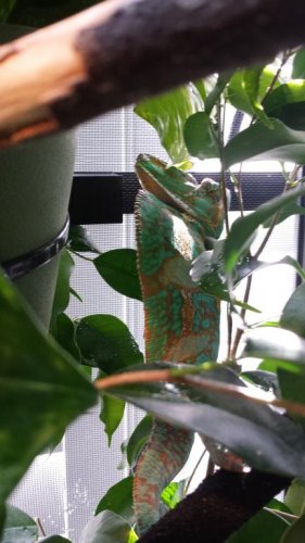 20150316_093520.jpg