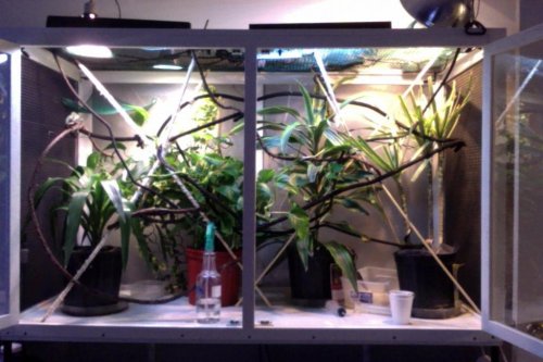 Photo on 3-23-15 at 6.41 PM.jpg