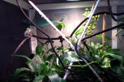 Photo on 3-23-15 at 6.42 PM.jpg