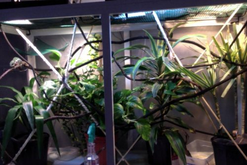 Photo on 3-23-15 at 6.42 PM #2.jpg