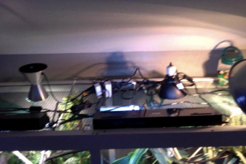 Photo on 3-23-15 at 6.42 PM #3.jpg