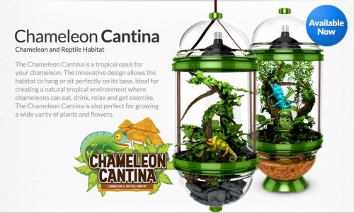 Screen Shot 2015-03-26 at 12.57.15 PM.jpg