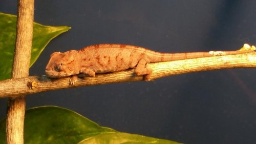 20150403_163411.jpg