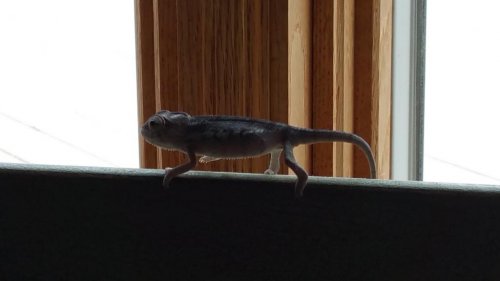 20150329_140211.jpg