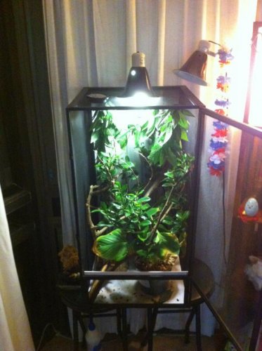 Photo 4 - Full setup.jpg