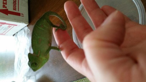 20150424_102236.jpg