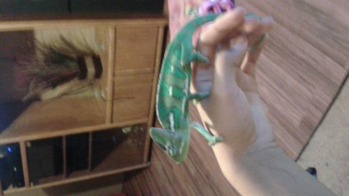 20150413_174832.jpg