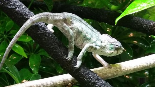 20150429_130355.jpg