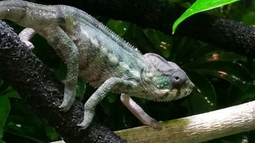 20150429_130419.jpg
