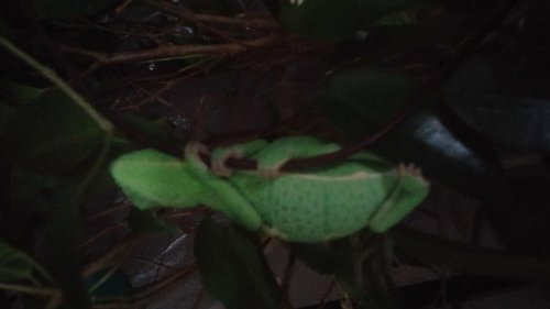 20150502_183754.jpg