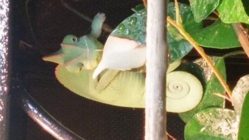 20150502_120421_HDR.jpg