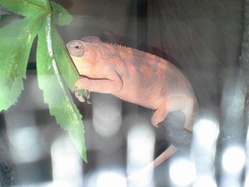 20150514_130545.jpg