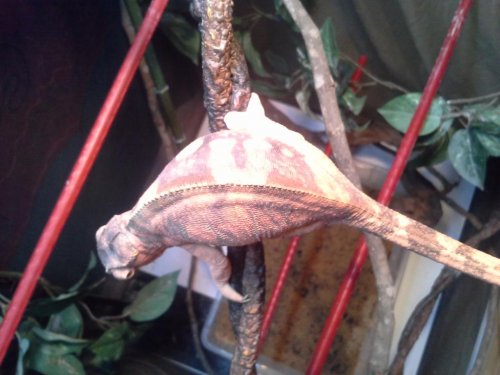 20150514_130625.jpg