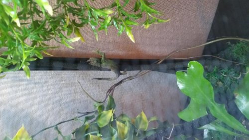 20150518_204219.jpg