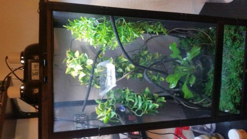 20150518_204224.jpg