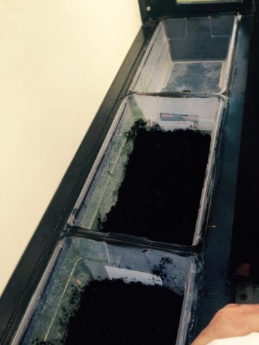 FullSizeRender (5).jpg