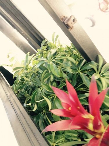 FullSizeRender (2).jpg