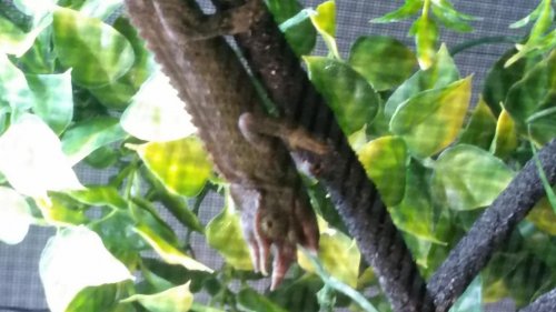 20150523_194113.jpg