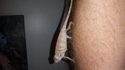 20150525_231152.jpg