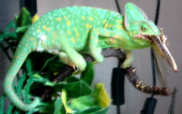 IMG_8227.JPG