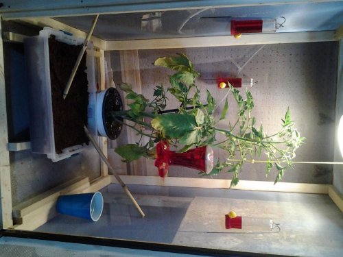 20150610_163449.jpg
