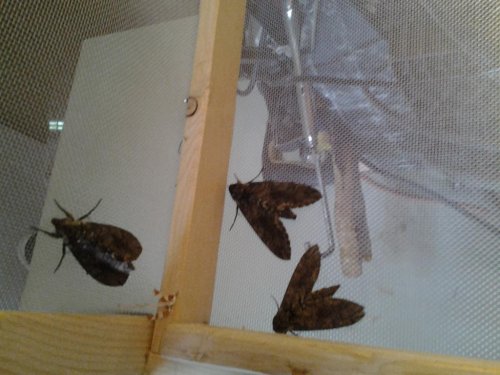 20150610_163428.jpg