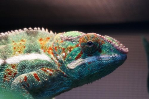 DSC01487 (Medium).jpg