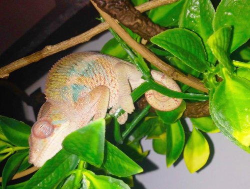 Spike12_4 mos.jpg