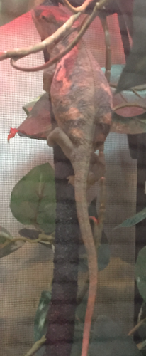 Screen Shot 2015-06-19 at 1.34.57 PM.png