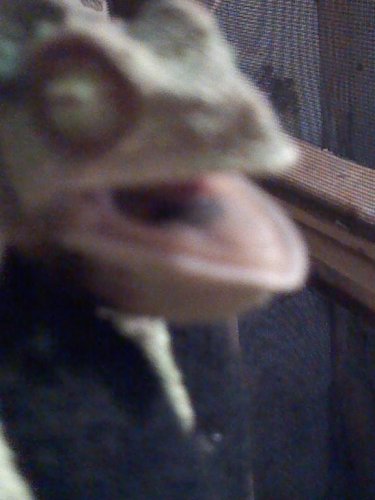IMG_20150624_175151_390.jpg