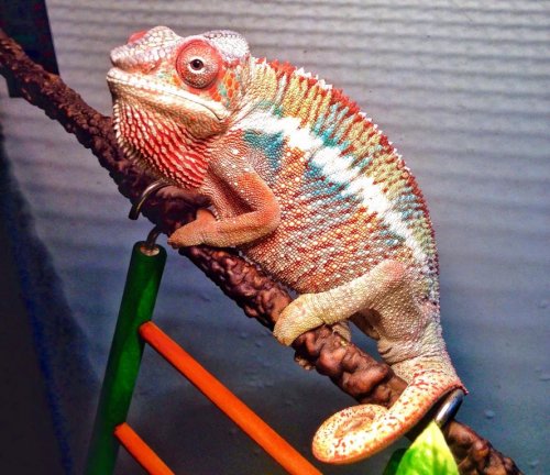 Spike01_5 mos.jpg