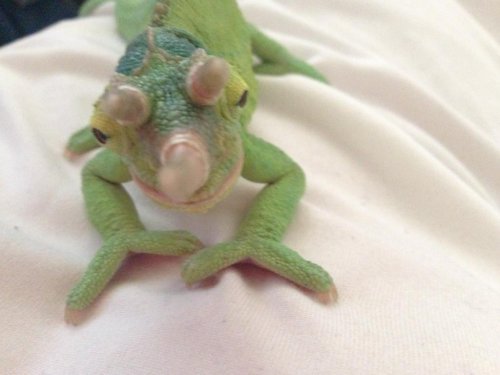 Screen Shot 2015-07-04 at 9.35.13 AM.jpg